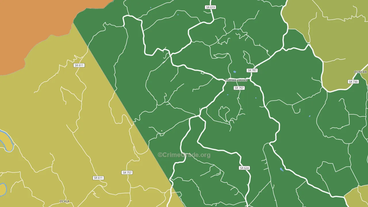 Indian Valley, VA Map of Vandalism Rates