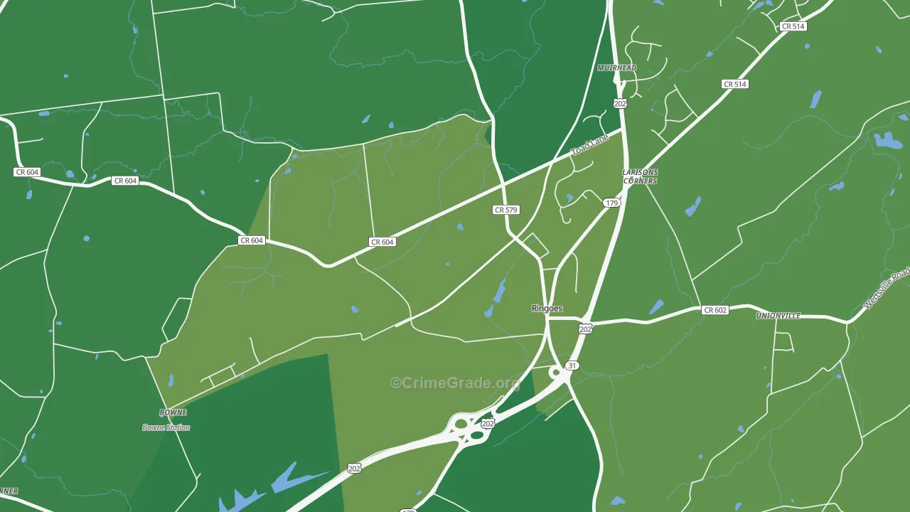 Larisons Corner, NJ Map of Vandalism Rates