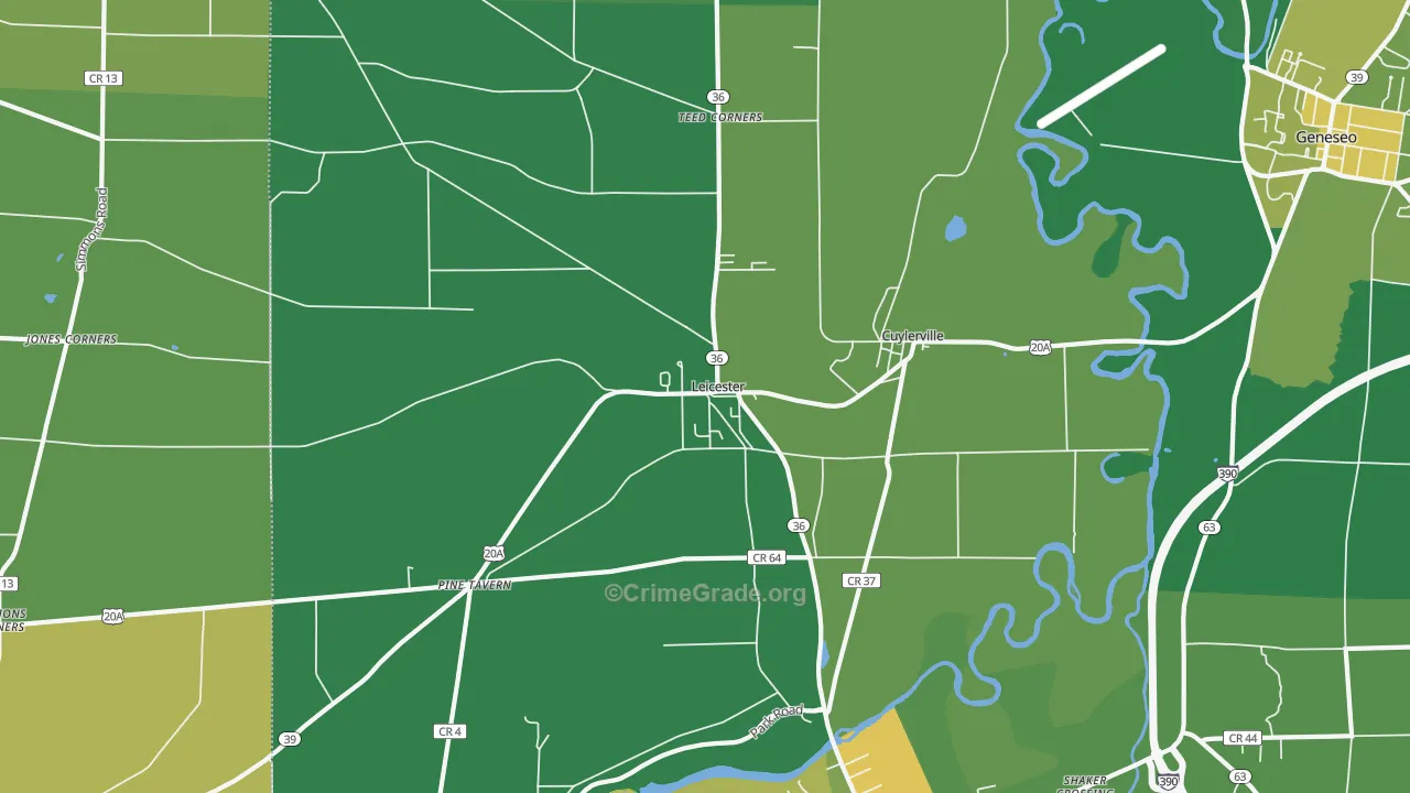 Leicester, NY Map of Vandalism Rates