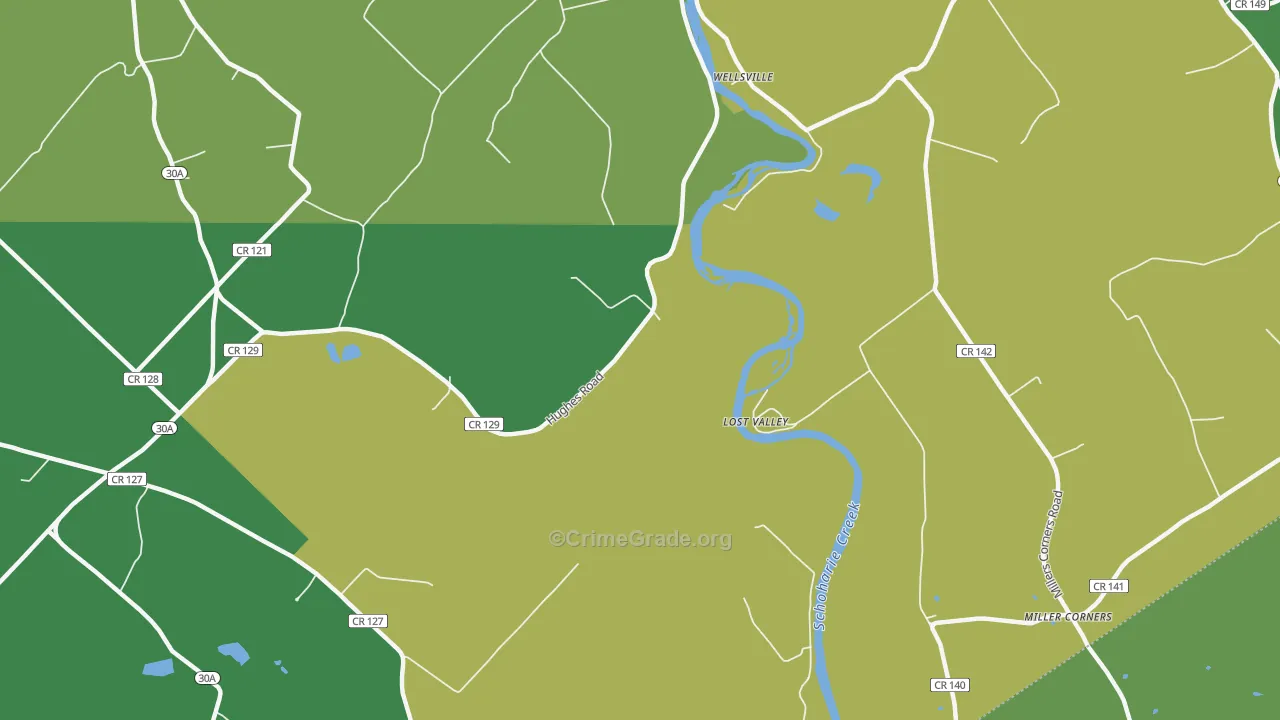 Lost Valley, NY Map of Vandalism Rates