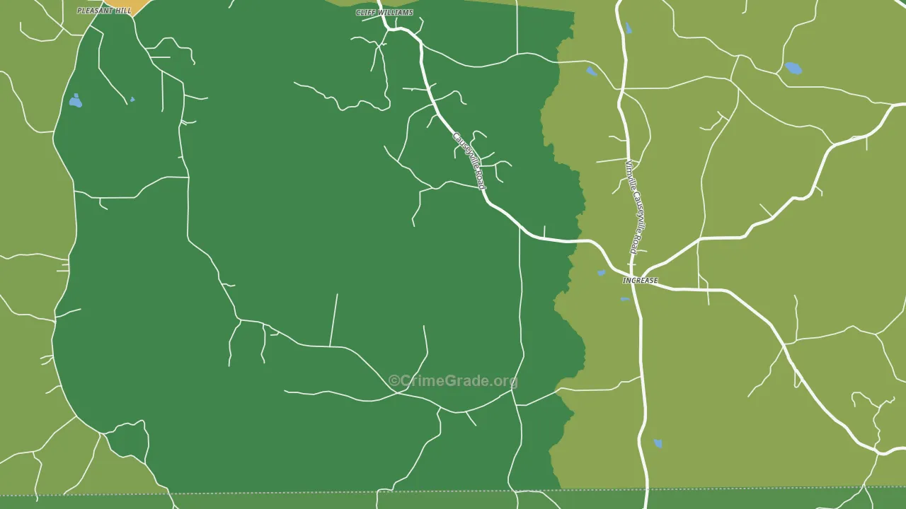 Meehan, MS Map of Vandalism Rates