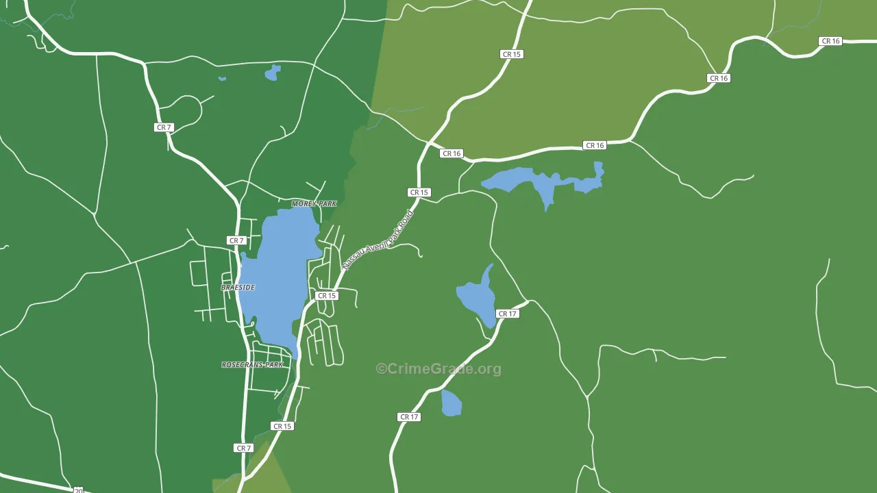 Morey Park, NY Map of Vandalism Rates