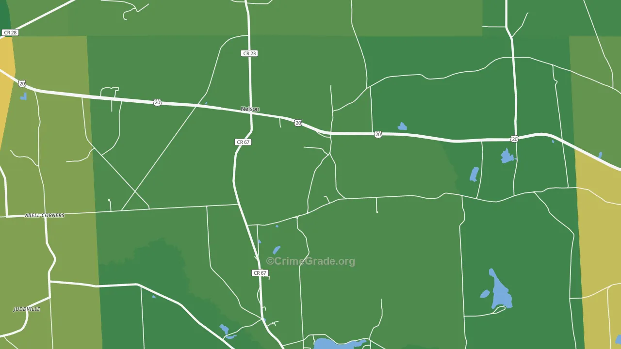 Nelson, NY Map of Vandalism Rates