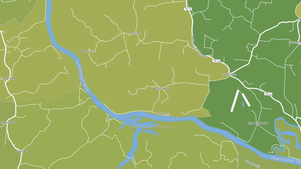 Neptune, TN Map of Vandalism Rates