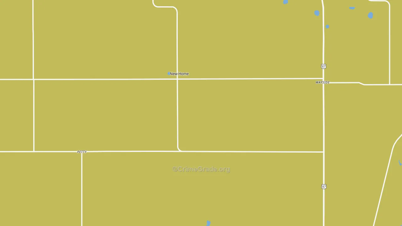 New Home, TX Map of Vandalism Rates