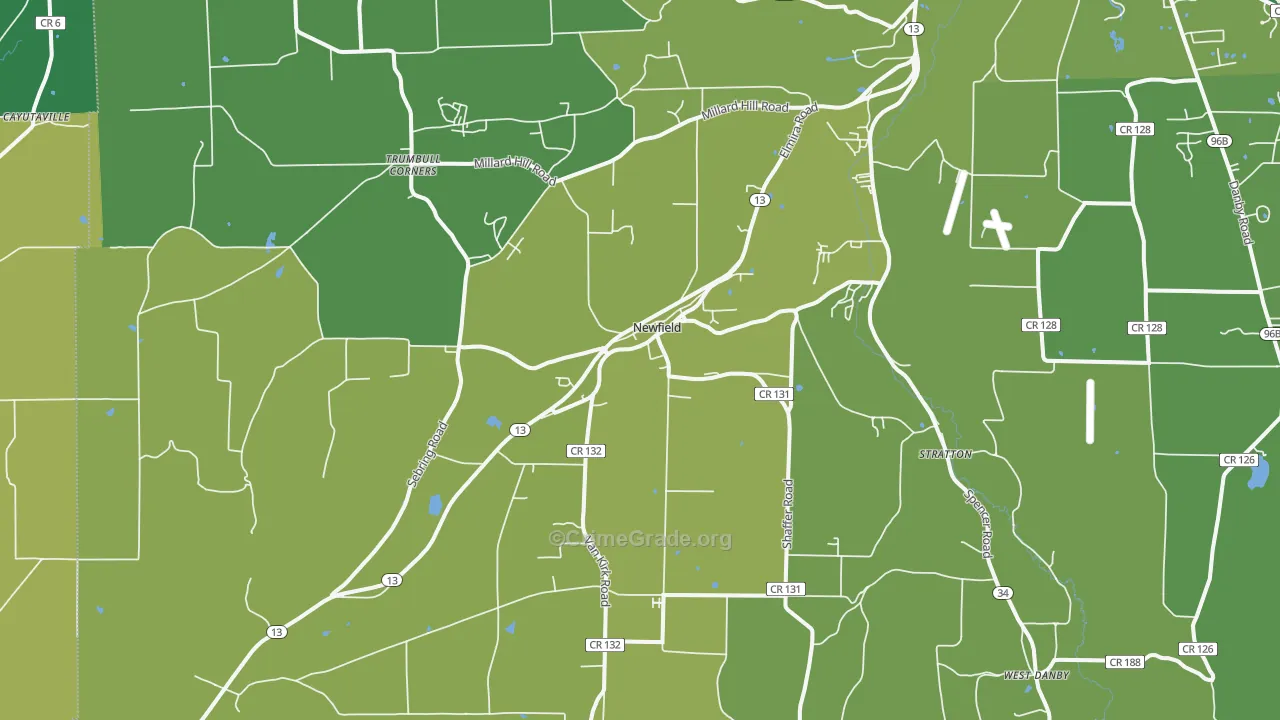 Newfield, NY Map of Vandalism Rates