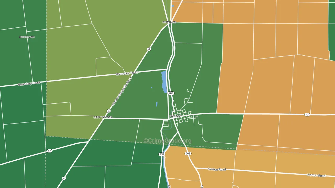 Newman, OH Map of Vandalism Rates
