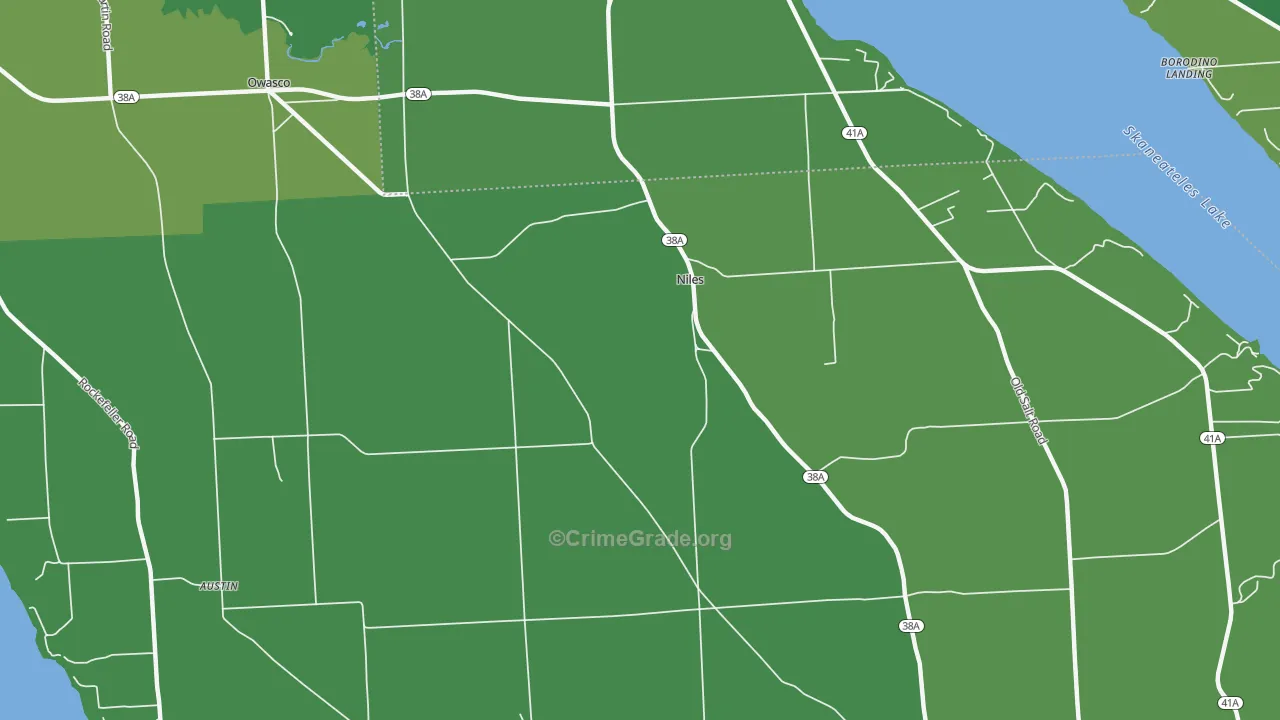 Niles, NY Map of Vandalism Rates