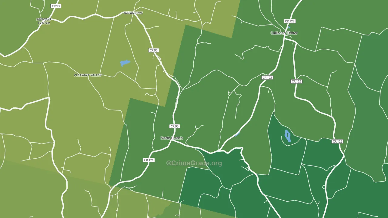 North Branch, NY Map of Vandalism Rates