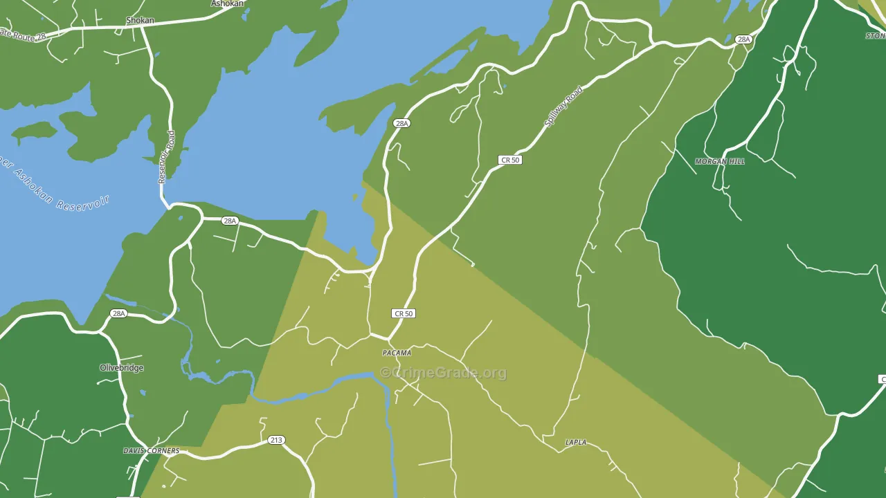 Pacama, NY Map of Vandalism Rates