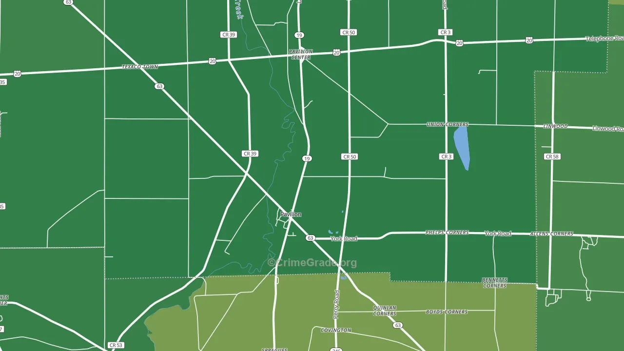 Pavilion, NY Map of Vandalism Rates