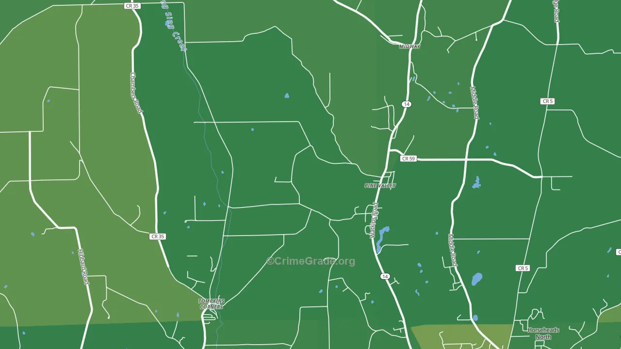 Pine Valley, NY Map of Vandalism Rates