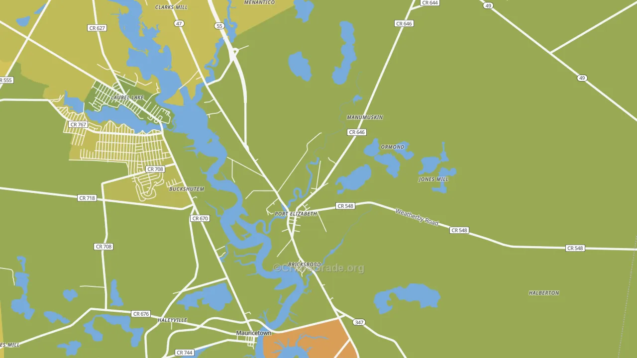 Port Elizabeth, NJ Map of Vandalism Rates