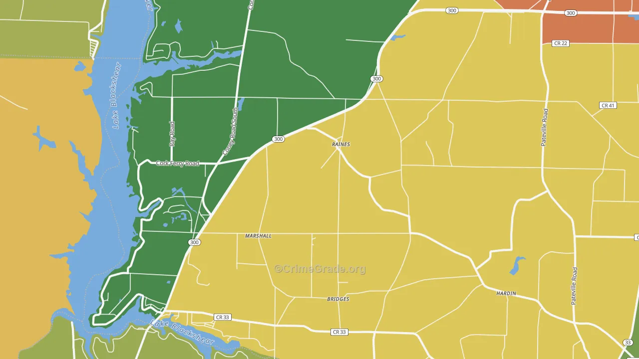 Raines, GA Map of Vandalism Rates