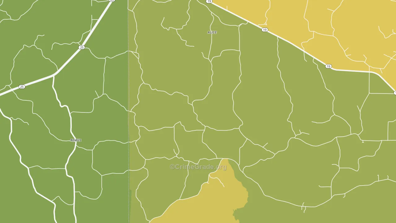 Remus, MS Map of Vandalism Rates