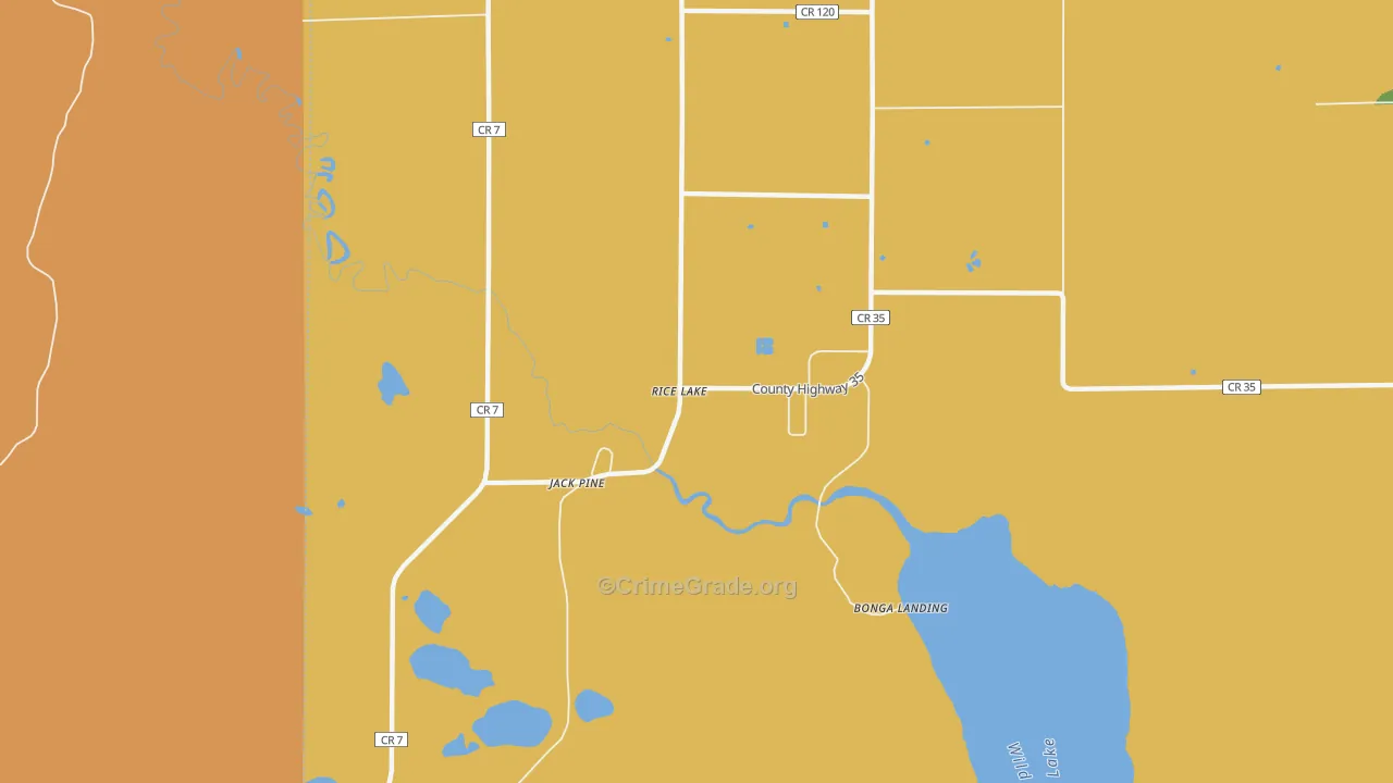 Rice Lake, MN Map of Vandalism Rates