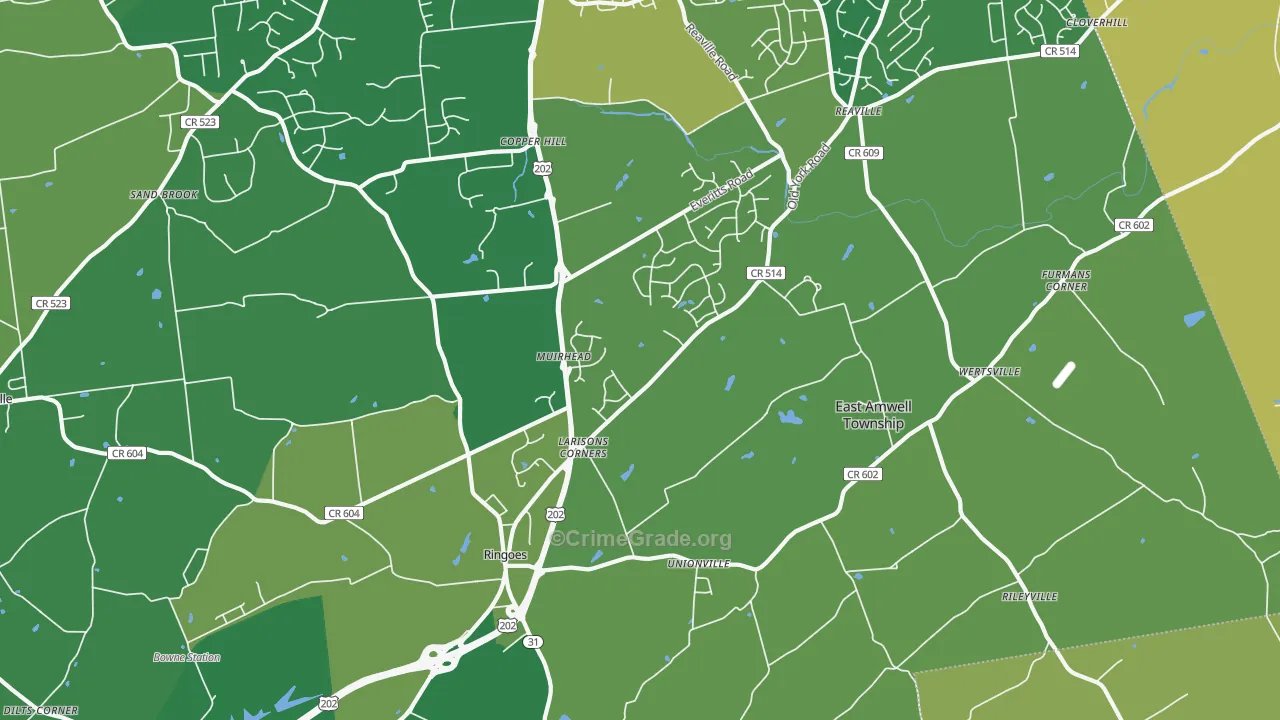 Ringoes, NJ Map of Vandalism Rates