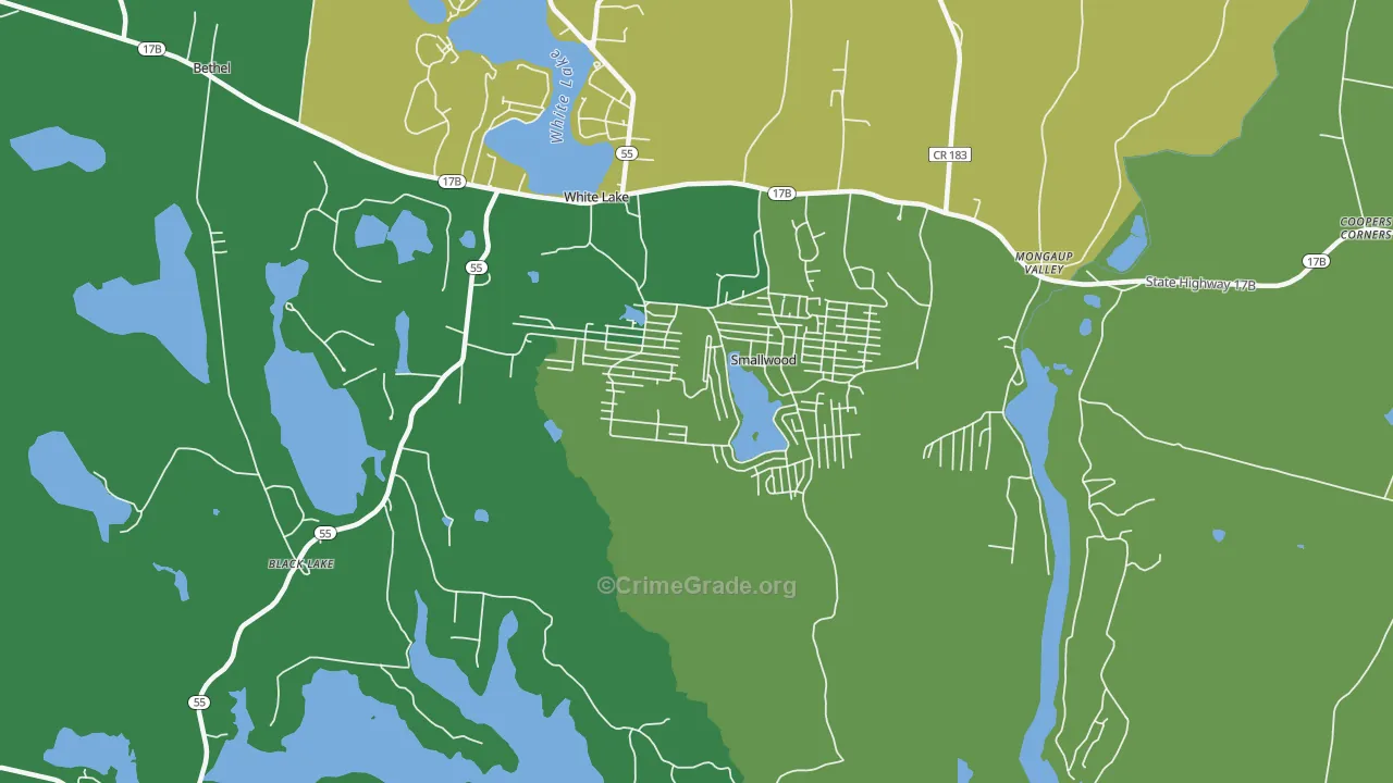 Smallwood, NY Map of Vandalism Rates