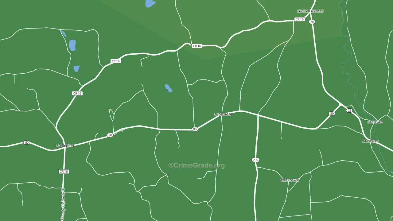 Snowdon, NY Map of Vandalism Rates