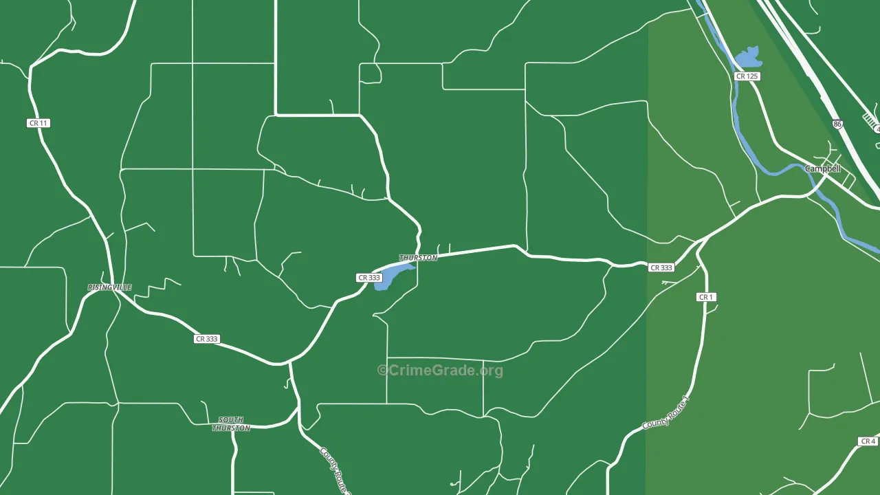 Thurston, NY Map of Vandalism Rates