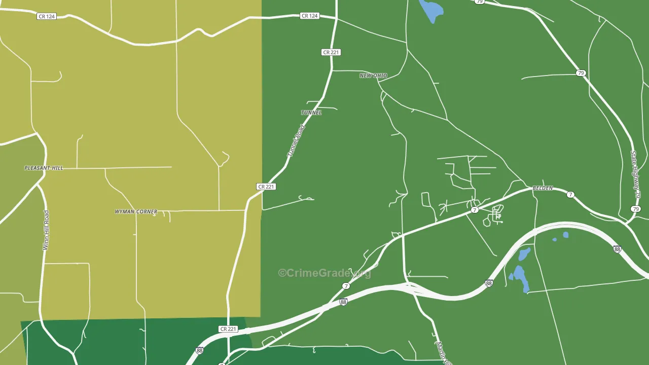 Tunnel, NY Map of Vandalism Rates