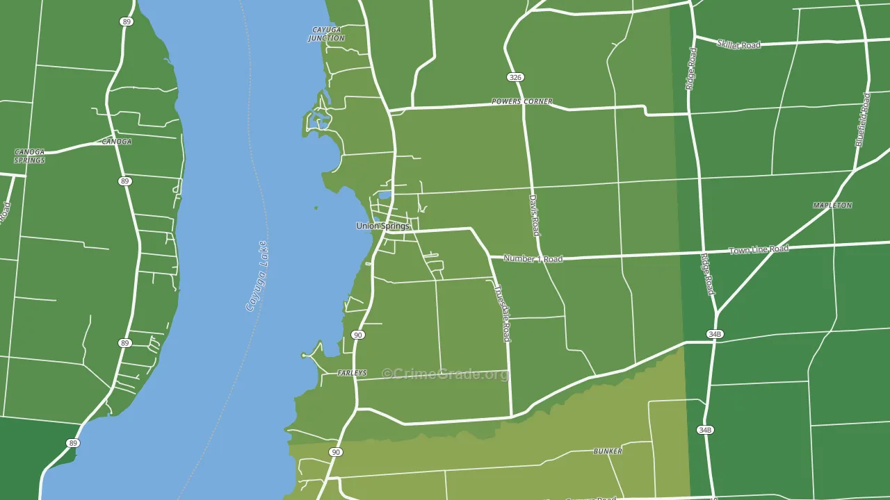 Union Springs, NY Map of Vandalism Rates
