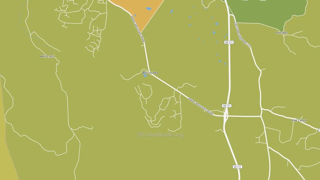 Welchland, TN Map of Vandalism Rates