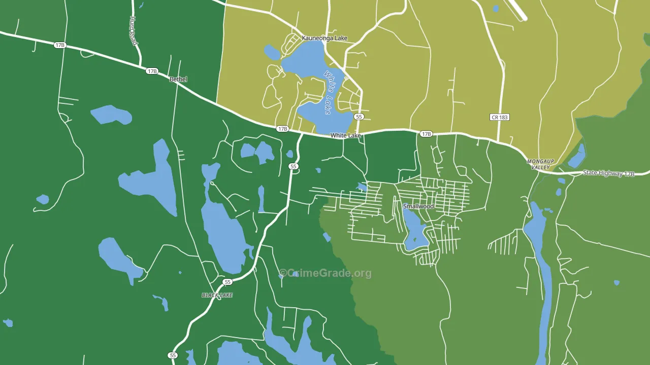 White Lake, NY Map of Vandalism Rates