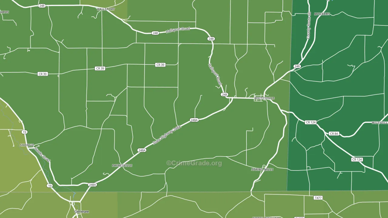 Whitesville, NY Map of Vandalism Rates