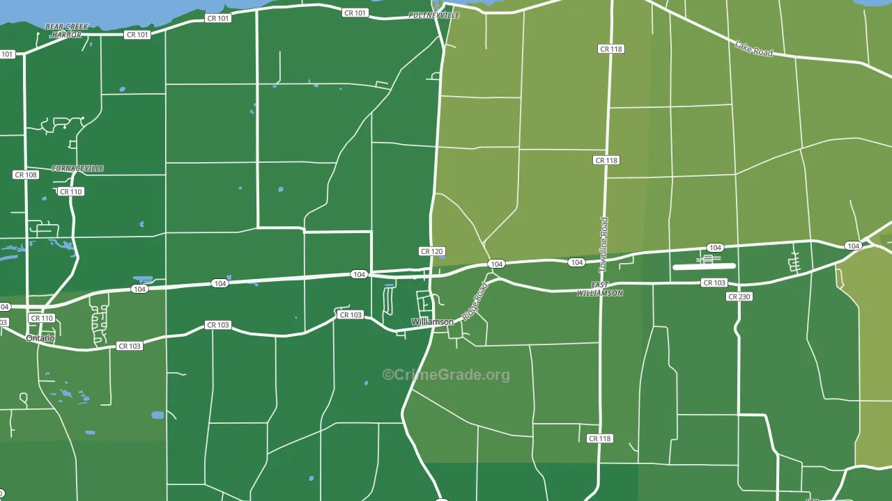 Williamson, NY Map of Vandalism Rates
