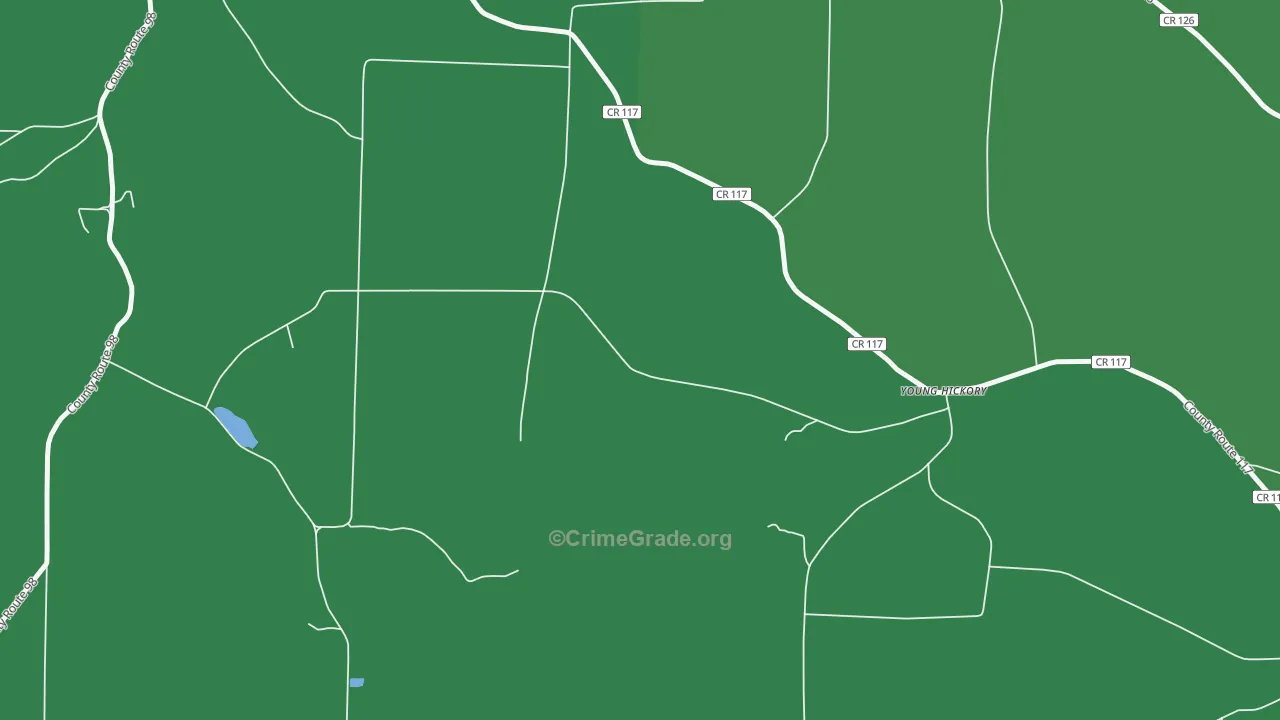 Young Hickory, NY Map of Vandalism Rates