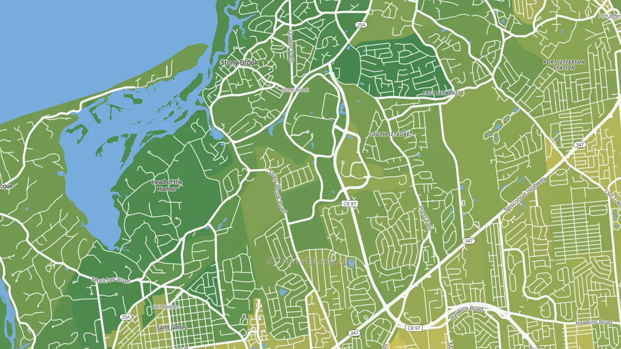 11790, NY Map of Vehicle Theft Rates