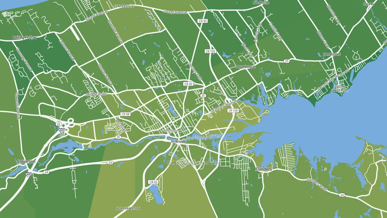 11901, NY Map of Vehicle Theft Rates