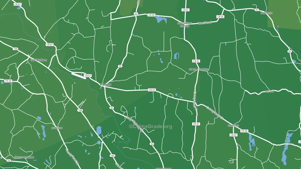 12431, NY Map of Vehicle Theft Rates