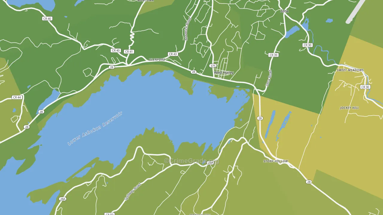 12491, NY Map of Vehicle Theft Rates