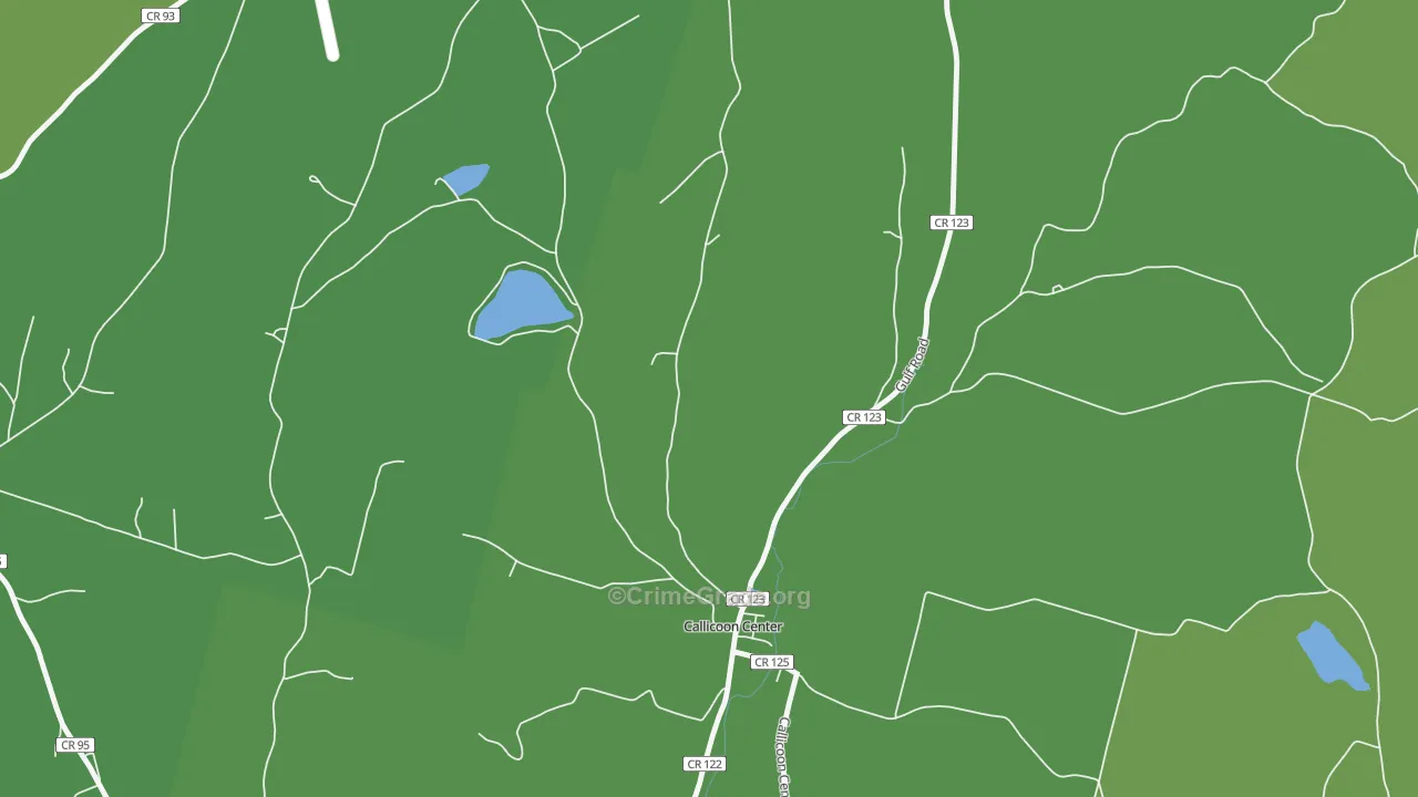 12724, NY Map of Vehicle Theft Rates