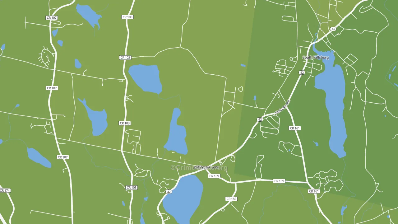 12751, NY Map of Vehicle Theft Rates
