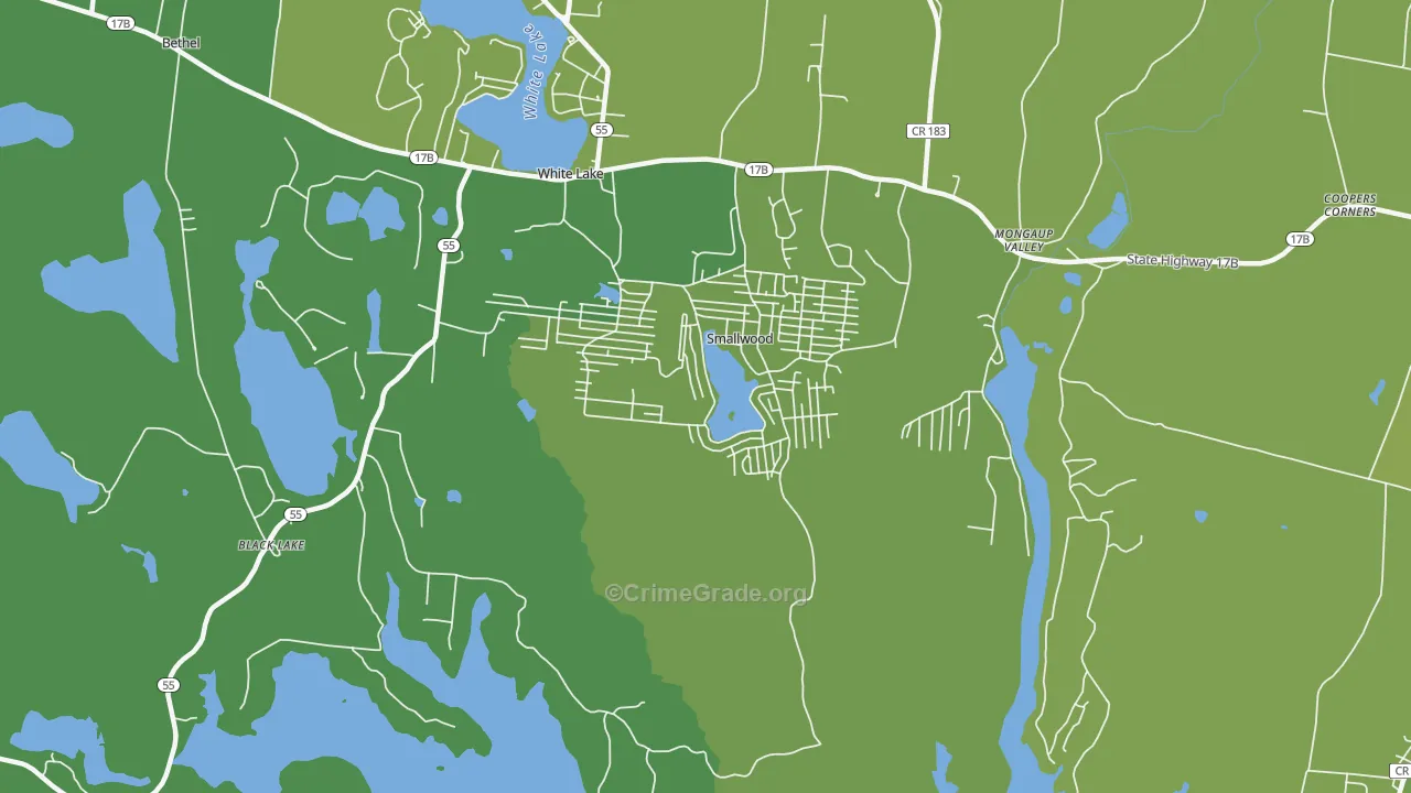 12778, NY Map of Vehicle Theft Rates