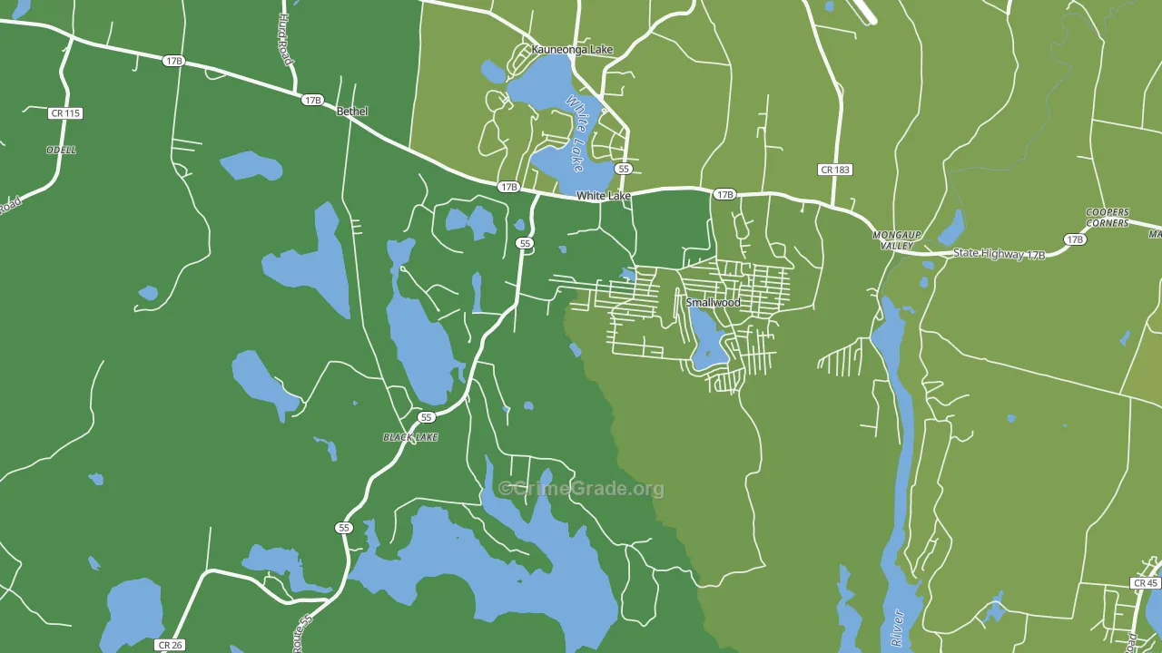 12786, NY Map of Vehicle Theft Rates