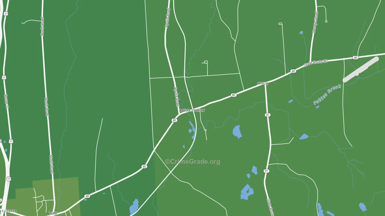 13020, NY Map of Vehicle Theft Rates