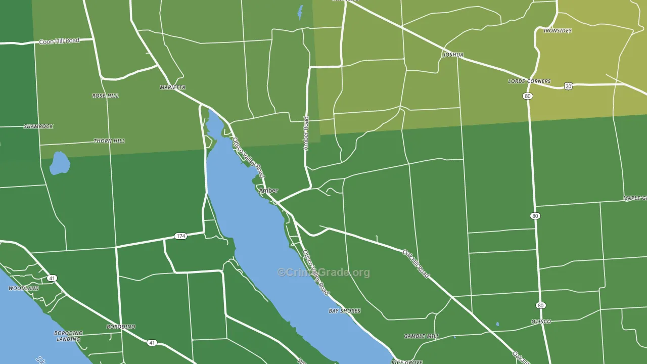 13110, NY Map of Vehicle Theft Rates