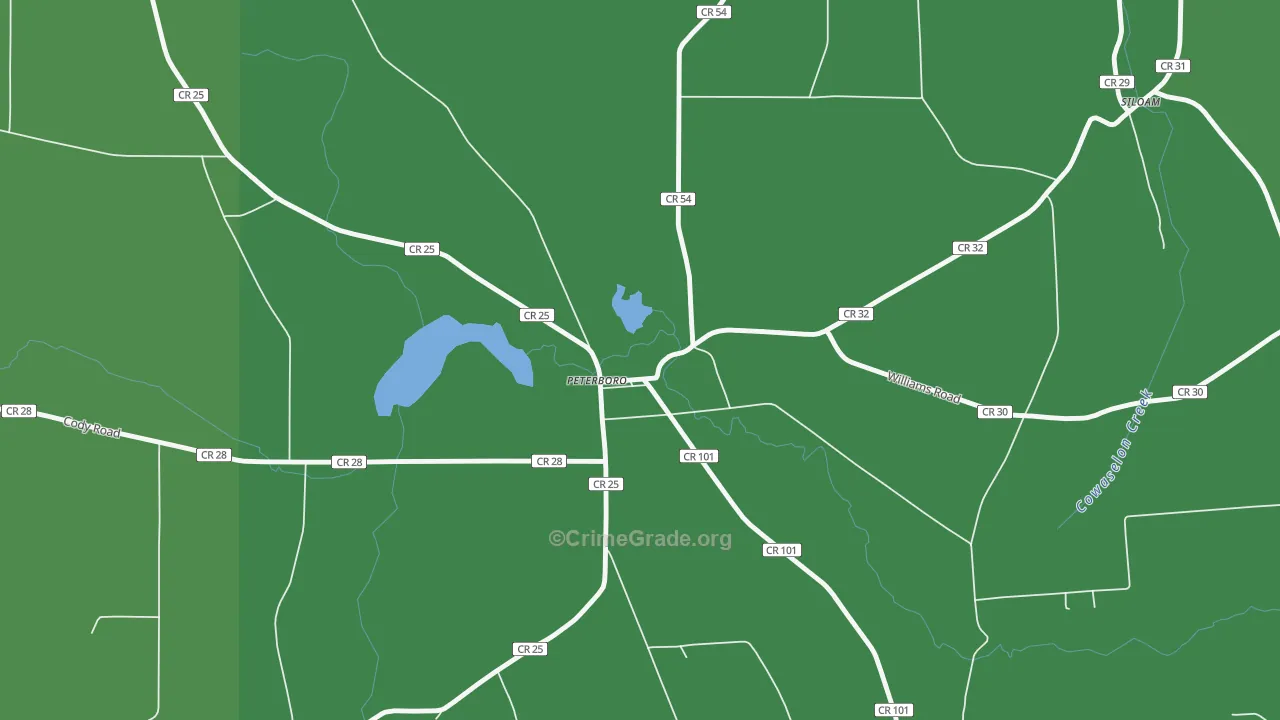 13134, NY Map of Vehicle Theft Rates