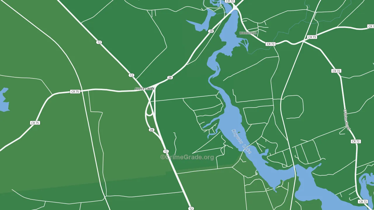 13301, NY Map of Vehicle Theft Rates