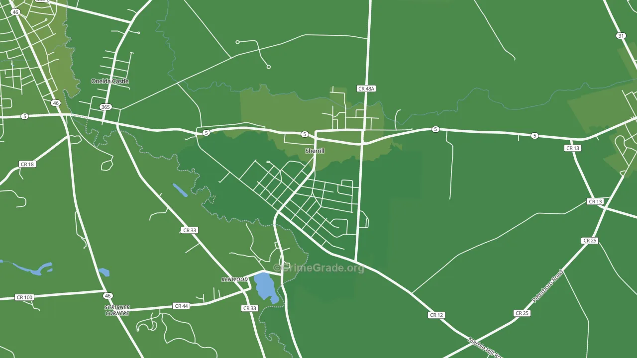 13461, NY Map of Vehicle Theft Rates