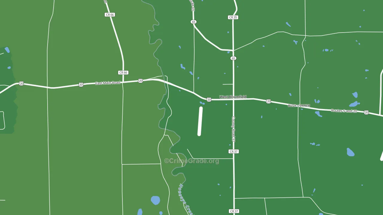 14585, NY Map of Vehicle Theft Rates