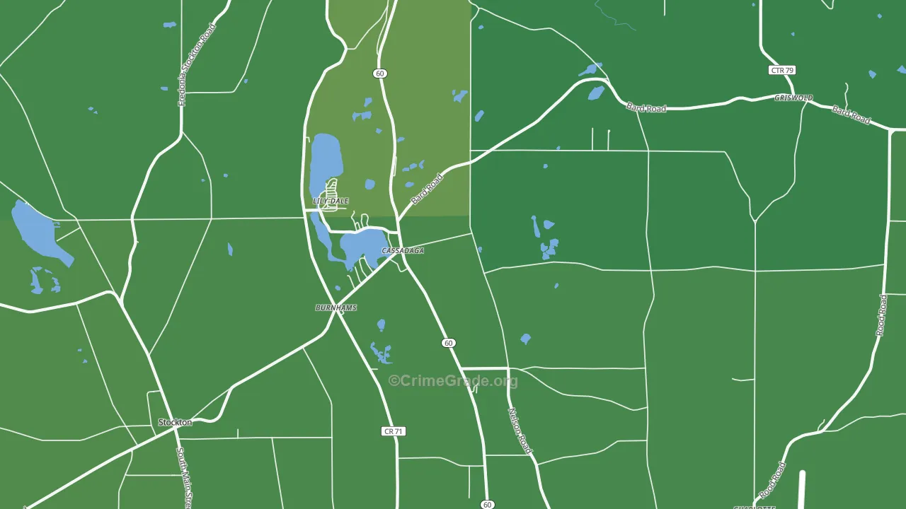 14718, NY Map of Vehicle Theft Rates