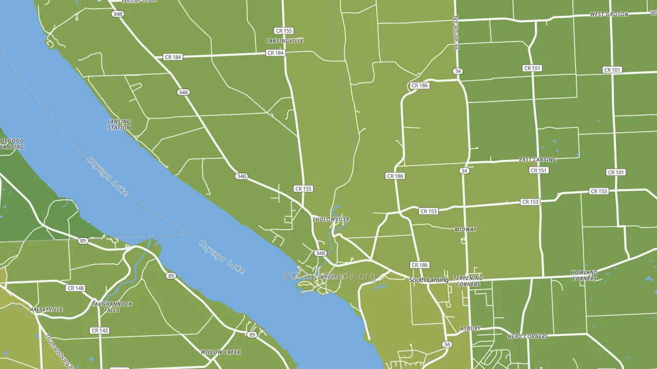 14882, NY Map of Vehicle Theft Rates