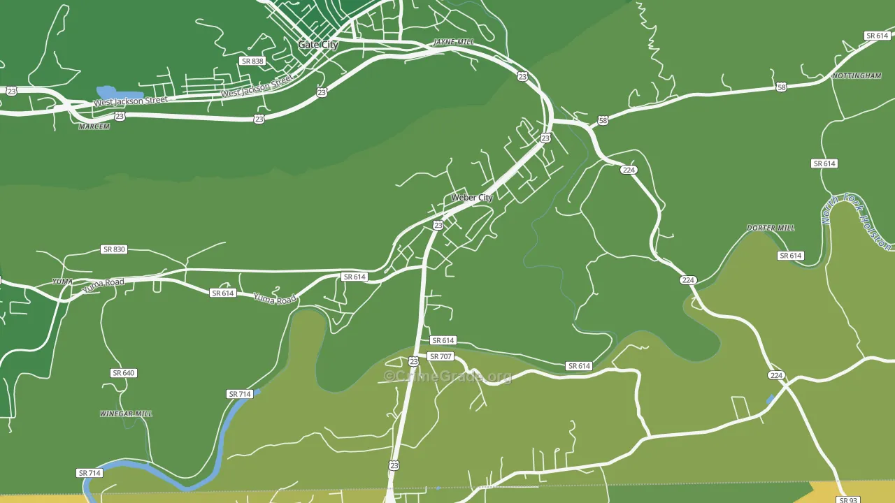 24290, VA Map of Vehicle Theft Rates