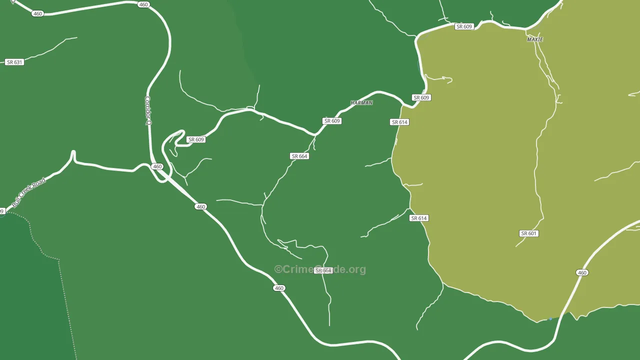 24628, VA Map of Vehicle Theft Rates