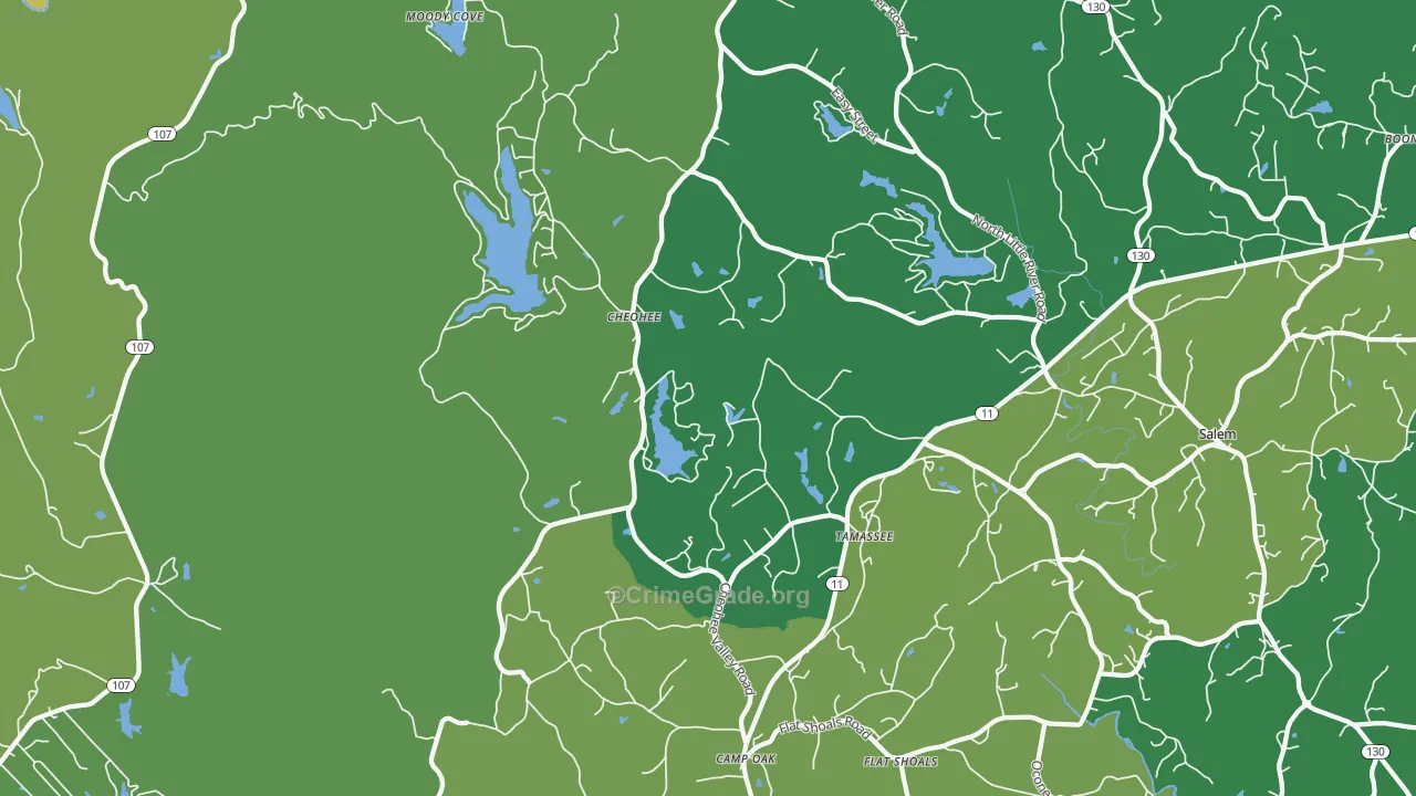 29686, SC Map of Vehicle Theft Rates